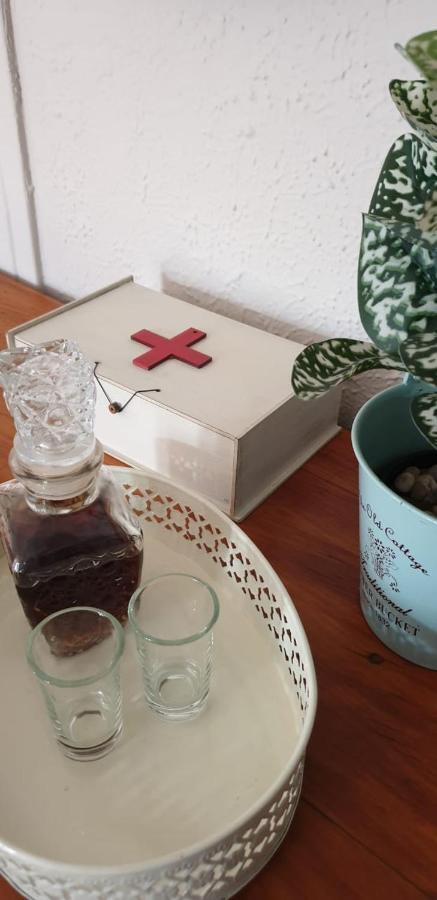 Lemonblossom 布隆方丹 外观 照片
